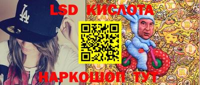 мдпв Камышлов