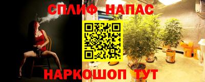 мдпв Камышлов