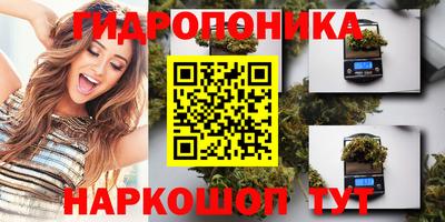 мдпв Камышлов