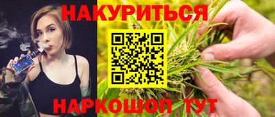 мдпв Камышлов